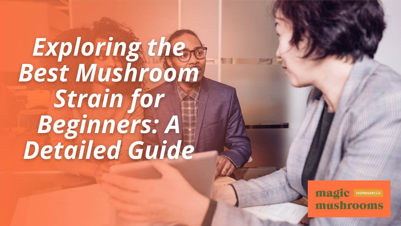 Best magic Mushroom Strain for Beginners