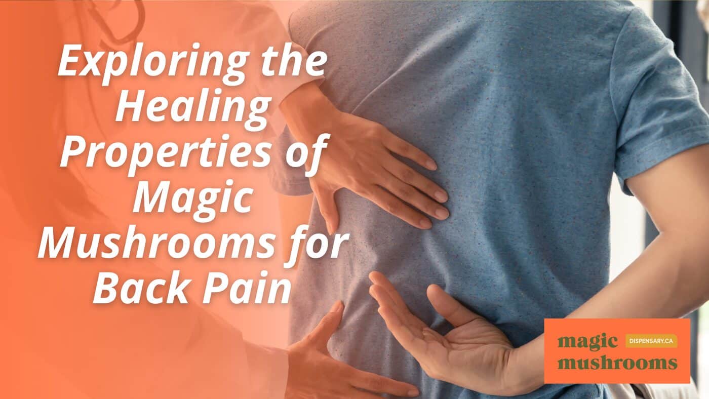 Mushrooms for Back Pain