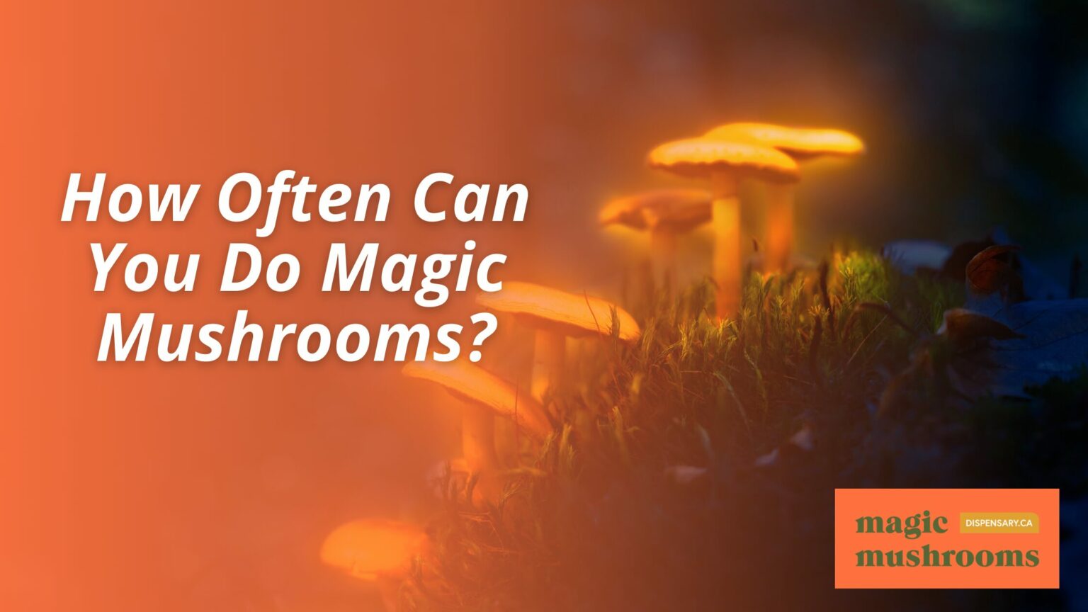 Magic Mushrooms UK